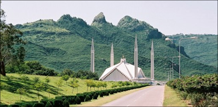 مارگلہ کی پہاڑیوں پر شجر کاری مہم