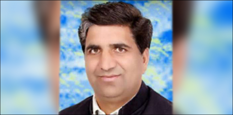 پاکستان کے بیٹے ملک کے لیے اپنی جان دے دیں گے: سینیٹر جاوید عباسی
