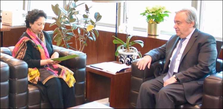 ملیحہ لودھی کی سیکریٹری جنرل اقوام متحدہ اور صدر سیکیورٹی کونسل سے ملاقاتیں