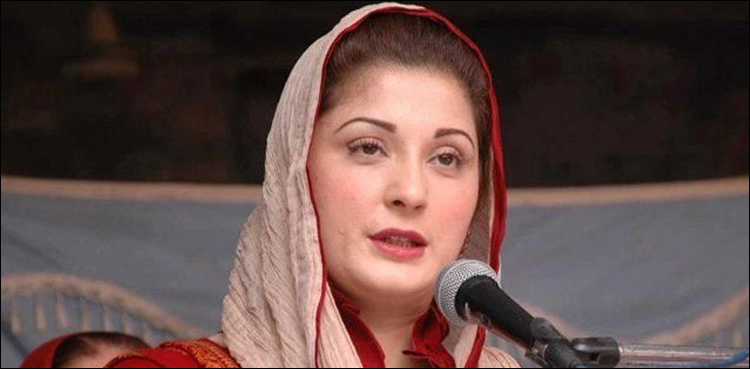 نواز شریف بھارتی فضائیہ کی فضائی خلاف ورزی پر فکر مند ہیں،مریم نواز کا ٹوئٹ