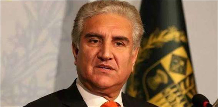 وزیرخارجہ نے جاپانی ہم منصب کو حالیہ دورہ جاپان مؤخر کرنے کی وجوہات سے آگاہ کردیا