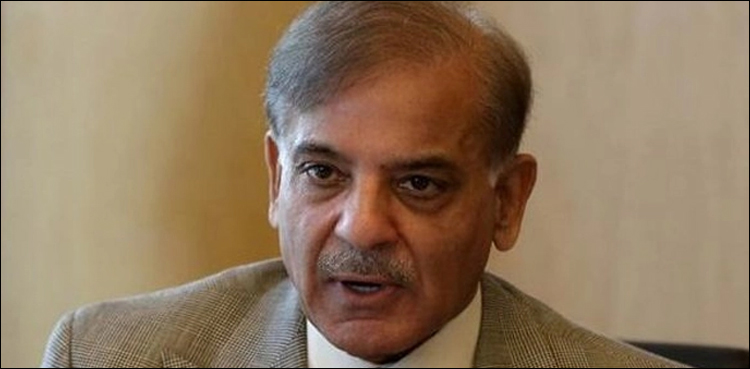 شہبازشریف نے ای سی ایل میں نام  ڈالنےکا اقدام چیلنج کردیا