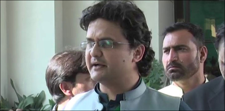 قانون ہاتھ میں لیں گے تو قانون حرکت میں آئے گا: فیصل جاوید کا جیالوں کی ہنگامہ آرائی پر رد عمل