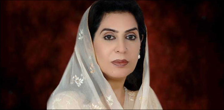 آرٹیکل 370 کا خاتمہ، پاکستان کو ہر فورم پر آواز اٹھانی ہوگی: فہمیدہ مرزا