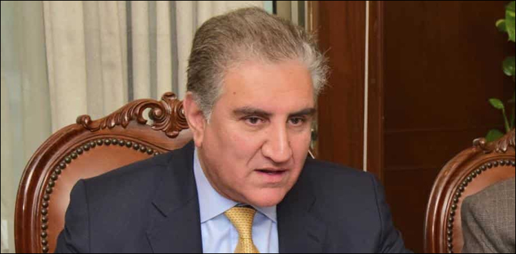 پاکستان او آئی سی کا مستقل رکن ہے، بھارت محض مہمان ہے: شاہ محمود قریشی