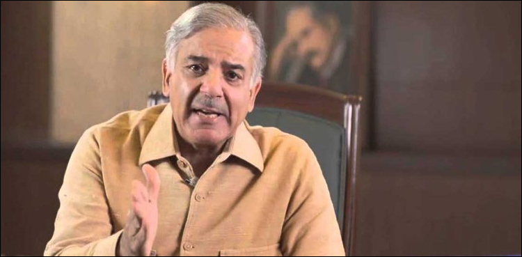 پٹرولیم مصنوعات کی قیمتوں میں کمی مسترد،  شہبازشریف کا حکومت سے بڑا مطالبہ