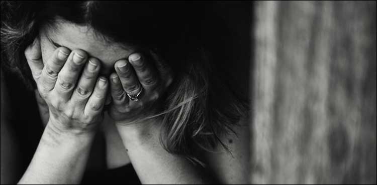 گھریلو تشدد کا شکار خواتین کے لیے رہائش فراہم کرنے کا اعلان