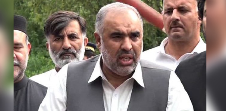 بھارتی پائلٹ کی رہائی پر تمام جماعتوں کا اتفاق تھا، اسد قیصر