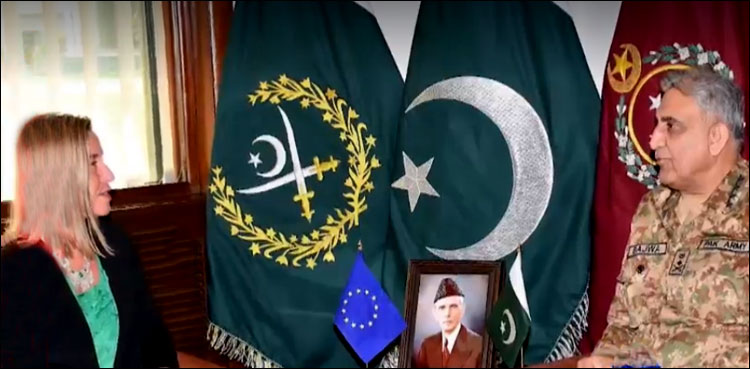 آرمی چیف سے یورپی کمیشن کی نمائندہ خصوصی کی ملاقات