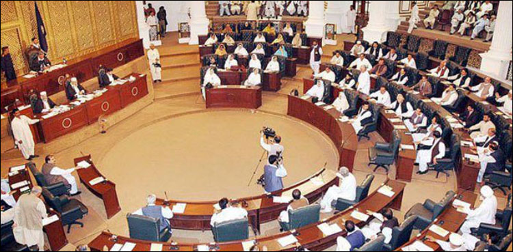 کے پی اسمبلی میں یوم خواتین پر عورت مارچ کے خلاف مذمتی قرارداد منظور