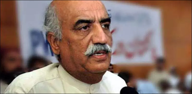 اقبال کا خواب، قائد اعظم کی جدوجہد اور بڑوں کی قربانیاں سے پاکستان بنا،  خورشید شاہ
