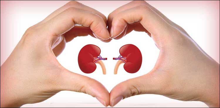 گردوں کا عالمی دن: دنیا بھر میں 85 کروڑ افراد گردوں کے مختلف امراض کا شکار