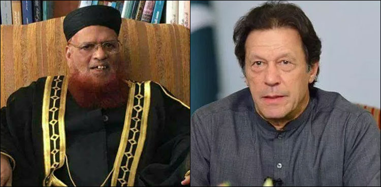 وزیراعظم عمران خان کی معروف عالم دین مفتی تقی عثمانی پر حملے کی مذمت