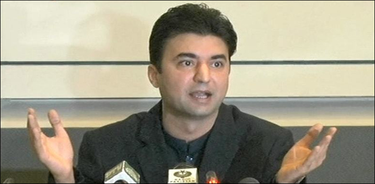 لاڑکانہ پیکج کا سارا پیسہ جعلی اکاؤنٹس میں گیا ہے، مراد سعید