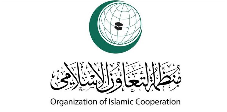 او آئی سی نے اپنا دفاع پاکستان کا حق قرار دے دیا