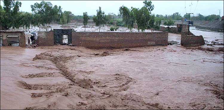 بارشوں سے 23 افراد جاں بحق، 26 سو مکانات اور دکانیں زمین بوس ہوئیں: این ڈی ایم اے