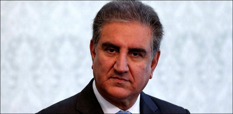 جدید ٹیکنالوجی خصوصاً زراعت میں چین کے تجربے سے فائدہ اٹھانا چاہتے ہیں: شاہ محمود قریشی