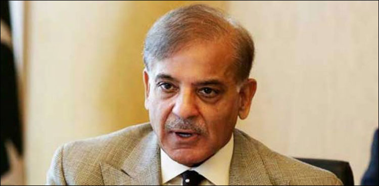 سپریم کورٹ رجسٹرارآفس نے شہباز شریف کی ضمانت منسوخی کی اپیل واپس کردی