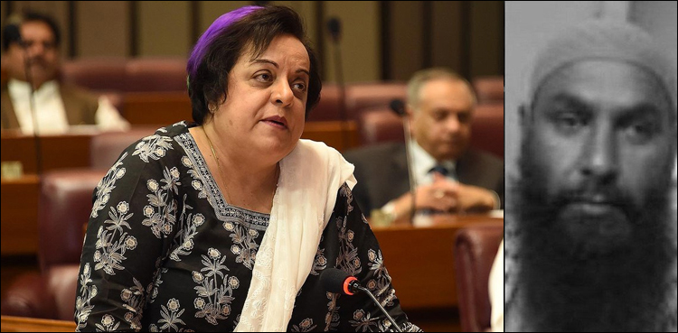 بھارتی جیل میں شاکراللہ کے قتل کا معاملہ عالمی سطح پراٹھائیں گے:  شیریں مزاری