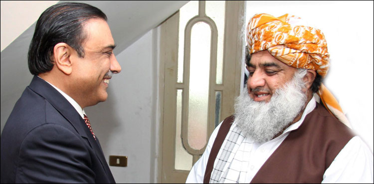زرداری، فضل الرحمان ملاقات، حکومت پر کڑی تنقید
