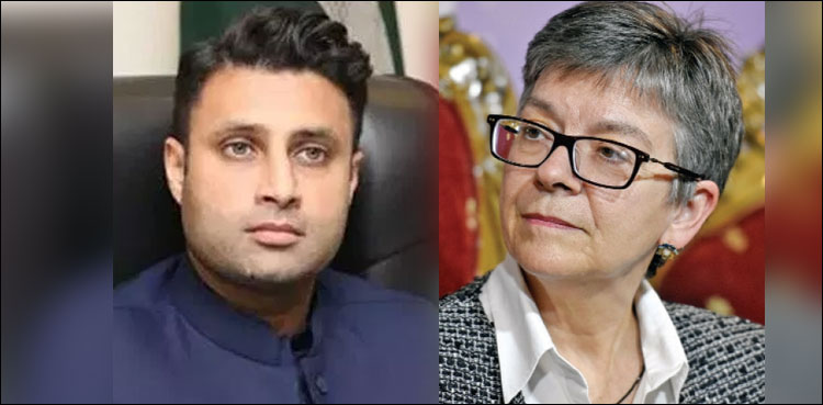 کرائسٹ چرچ سانحہ، پاکستانیوں کے ساتھ تعاون پر زلفی بخاری کا آسٹریلوی ہائی کمشنر کا شکریہ