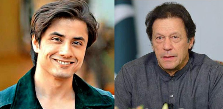 سپر اسٹار علی ظفر کی حب الوطنی نے بھارت کو آگ بگولا کر دیا
