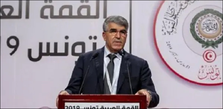 عرب ممالک فلسطین میں دیرپا امن و استحکام کو اپنی ذمہ داری سمجھتے ہیں، عرب کانفرنس