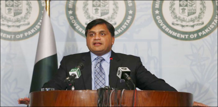 ایم ایم عالم کی صلاحیت ائیرفورس کی تاریخ میں بے مثال ہے‘ ترجمان دفترخارجہ