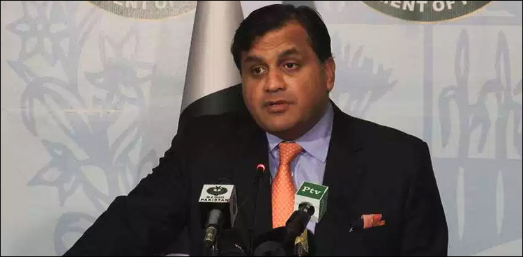 پاکستان نے پلوامہ حملے پر بھارتی ڈوزئیر کا جواب دے دیا