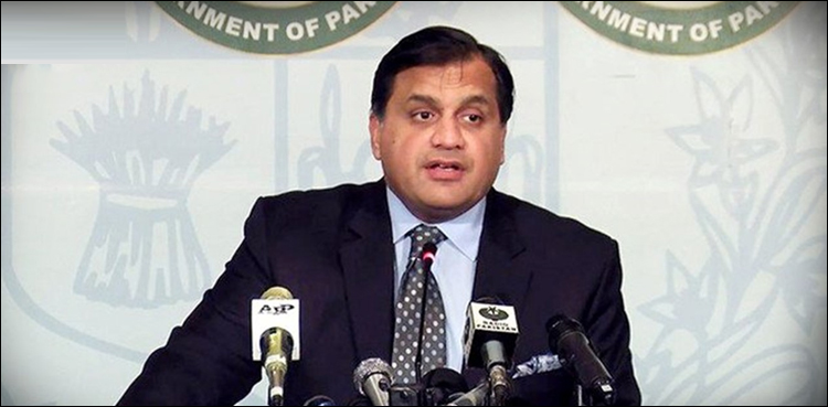 پاکستان کواپنے پرچم کے سفید حصے پر بھی اتناہی فخر ہےجتناسبزپر،ترجمان دفترخارجہ