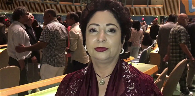 بھارت کے ساتھ تناؤ سے افغان امن کی کوششوں پراثرات پڑسکتے ہیں‘ ملیحہ لودھی