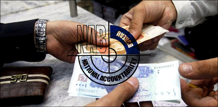جعلی اکاؤنٹس کیس :  کراچی سے مزید 2 افراد گرفتار