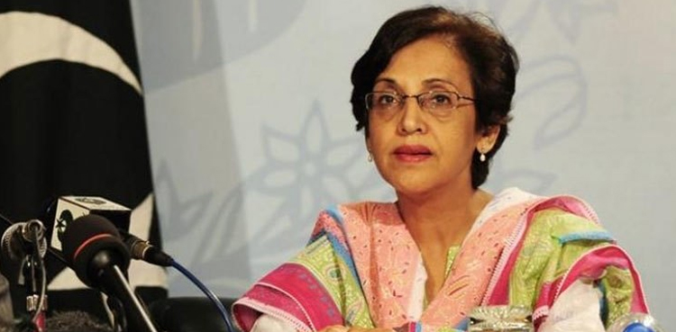 پاکستانی سیکریٹری خارجہ سے یورپی نمائندہ خصوصی کی ملاقات، افغان امن عمل پر گفتگو