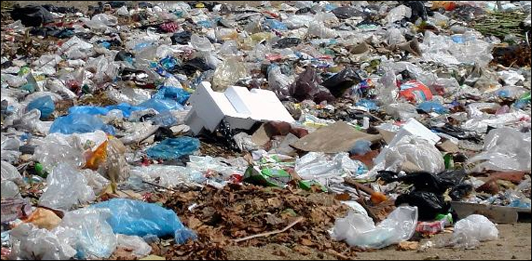 خیبرپختونخوا میں پلاسٹک شاپنگ بیگ پر پابندی عائد