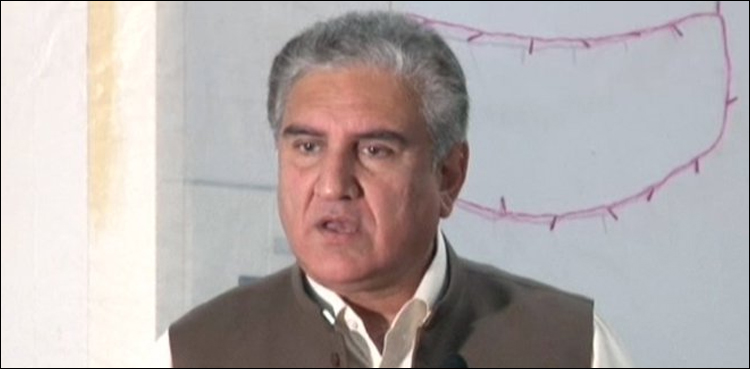 جرمن وزیر خارجہ کا دورہ،  یورپین یونین سے معاہد ہ ہوگا، شاہ محمود قریشی