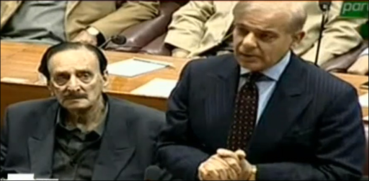 حکومت کے او آئی سی میں نہ جانے کے فیصلے کی حمایت کرتے ہیں، شہباز شریف