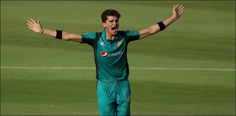 ورلڈ کپ2019میں وسیم اکرم کی طرح پرفارمنس کا مظاہرہ کر ناچاہتا ہوں، شاہین آفریدی