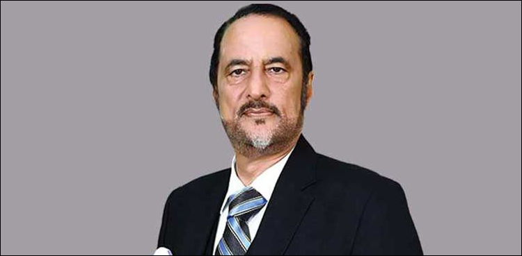 نندی پور پاور پراجیکٹ: عدالت نے بابراعوان کی بریت سے متعلق فیصلہ موخرکردیا