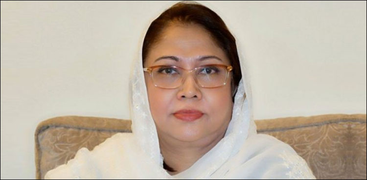 پی پی رہنما فریال تالپور کی نااہلی کی درخواست پر سماعت