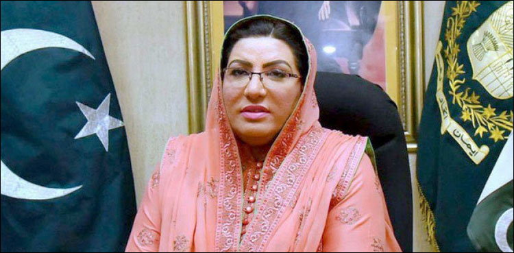 شہید بھٹو کی نظریاتی جماعت کرپشن کے ہاتھوں شہید ہوچکی ہے: فردوس عاشق اعوان