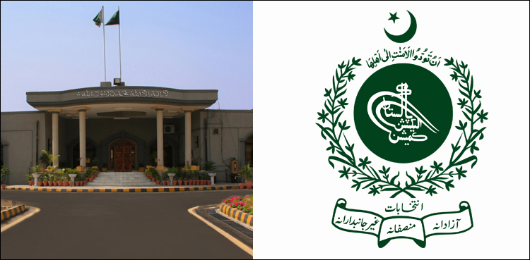 الیکشن کمیشن کے پاس فورتھ شیڈول میں شامل ممبراسمبلی کونااہل کرنےکااختیارنہیں، عدالتی فیصلہ
