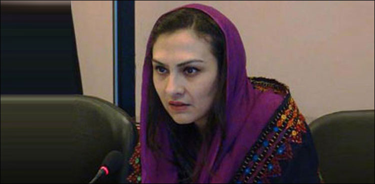 عمران خان کے خلاف اسحاق ڈار کی تنقید پرمیں نے دوسال ٹرولنگ کا سامنا کیا: ماروی میمن کا شکوہ