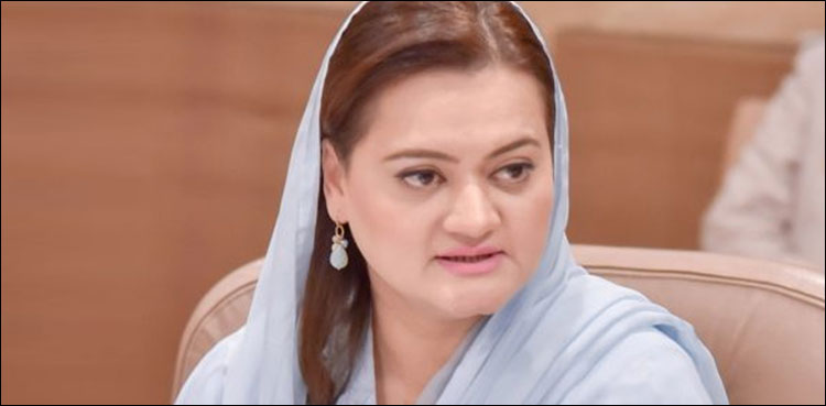 عوام منصوبہ بندی کر چکے، مریم اورنگزیب کا وزیر اعظم کی صحافیوں سے گفتگو پر رد عمل
