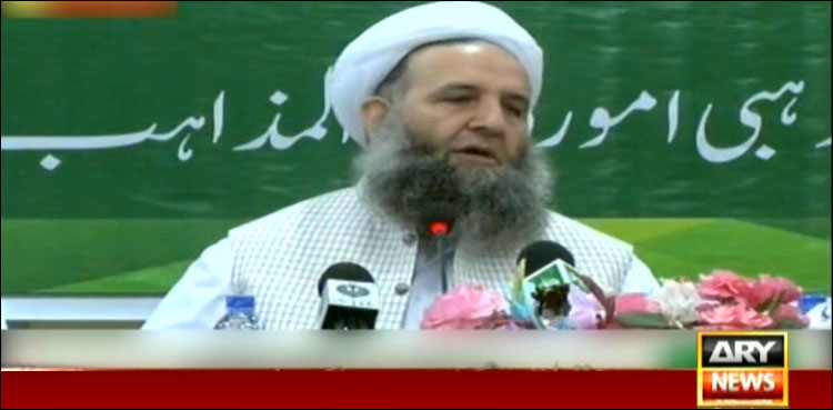 پاکستان کوآزاد فلاحی ریاست بنانا اس حکومت کی ترجیح ہے، نورالحق قادری