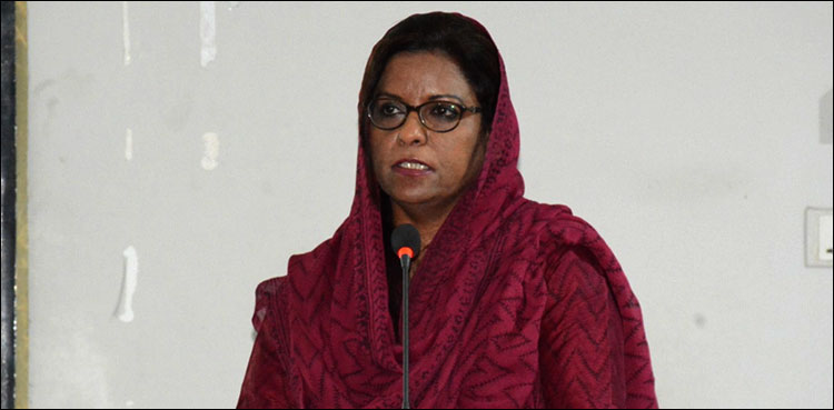 صحت کے بنیادی حق اور آئین سے متعلق نفیسہ شاہ نے اہم بیان دے دیا