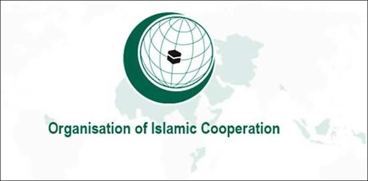 او آئی سی کا سوڈان میں عوامی مطالبات کی حمایت کا اعلان