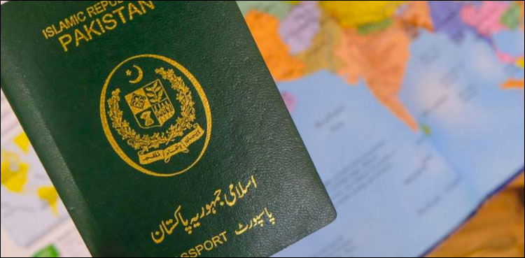 دنیا بھر میں مقیم پاکستانیوں نے 7 سال میں 120 ارب ڈالر وطن بھیجے