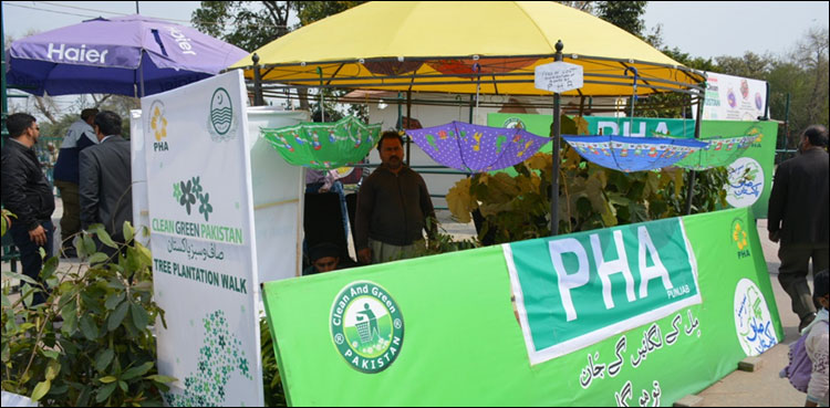 ہر 10 مر لے کے گھر میں ایک درخت لازمی قرار دینے کی منصوبہ بندی
