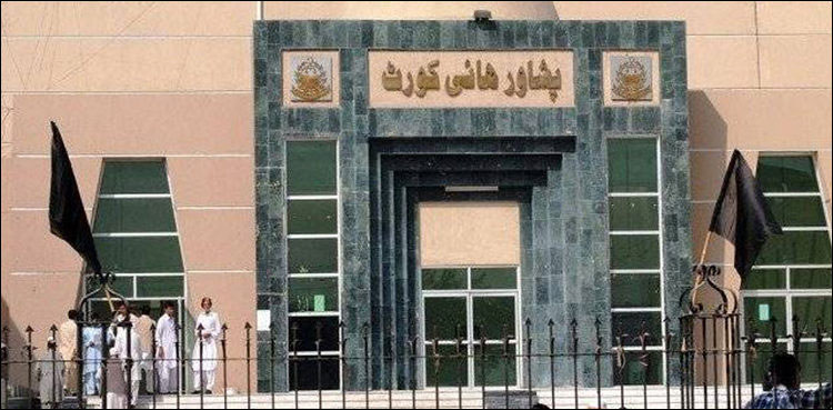 بی آر ٹی منصوبہ: پشاور ہائی کورٹ نے منصوبہ بندی نہ ہونے پر افسوس کا اظہار کر دیا