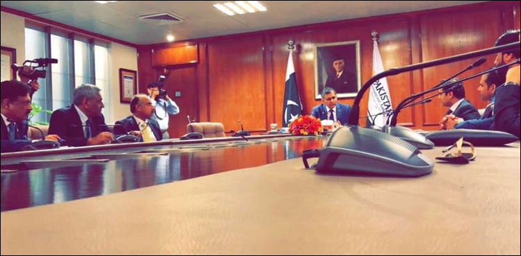 پاکستانی نژاد برطانوی سرمایہ کاروں کی پی آئی اے کے شیئرز خریدنے میں دلچسپی